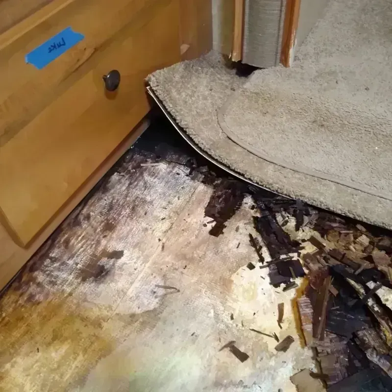 Wood Floor Water Damage in Woodhaven, NY